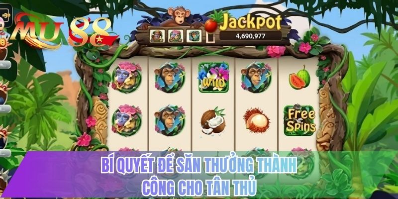 Bí quyết để săn thưởng thành công cho tân thủ