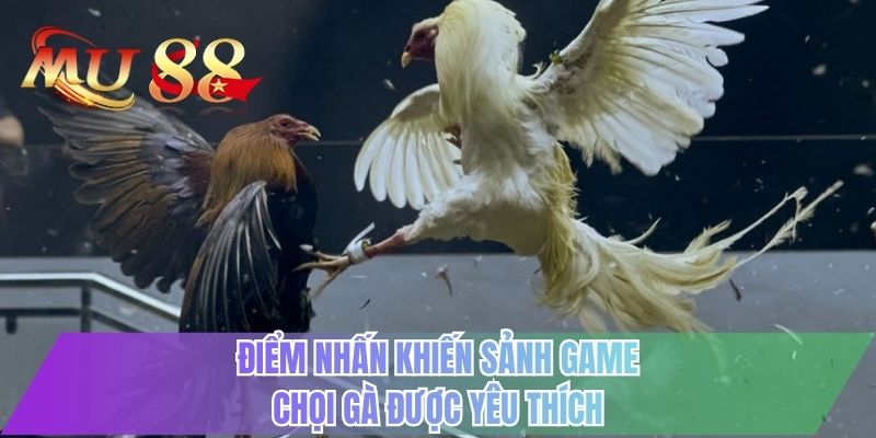 Điểm nhấn khiến sảnh game chọi gà được yêu thích