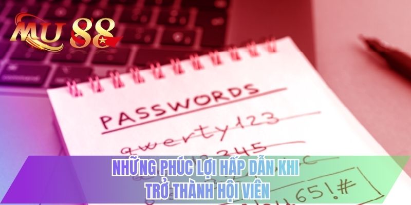 Những phúc lợi hấp dẫn khi trở thành hội viên
