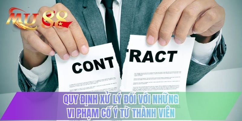 Quy định xử lý đối với những vi phạm cố ý từ thành viên