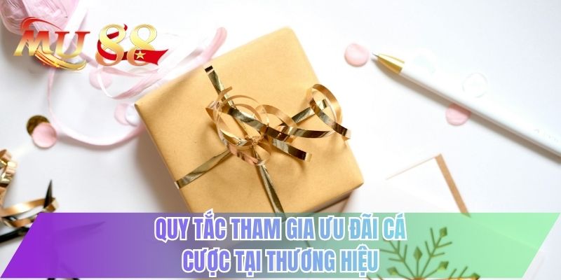 Quy tắc tham gia ưu đãi cá cược tại thương hiệu
