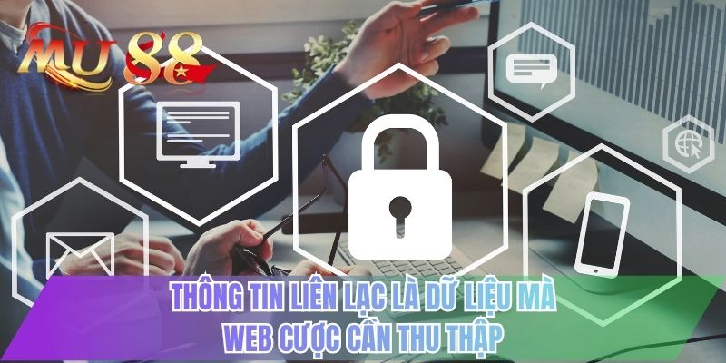 Thông tin liên lạc là dữ liệu mà web cược cần thu thập